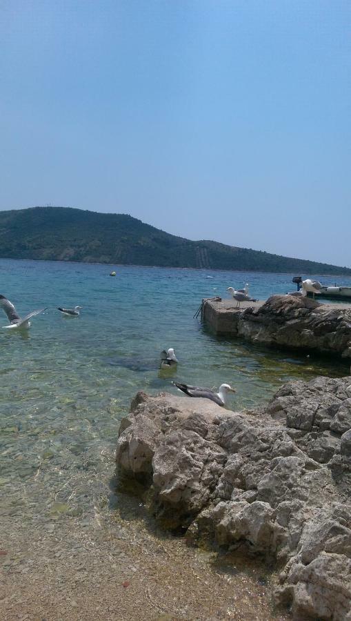 Aparthotel Marina Primošten Esterno foto